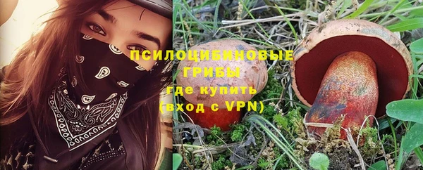 spice Мегион