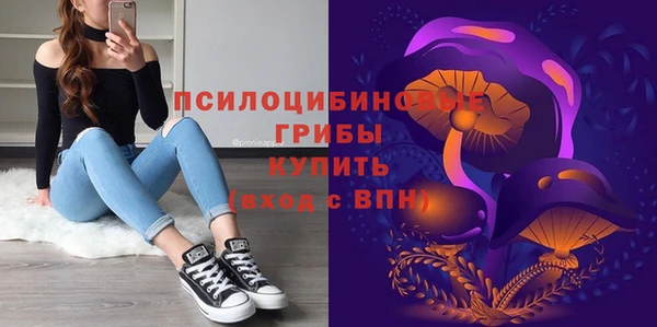 spice Мегион