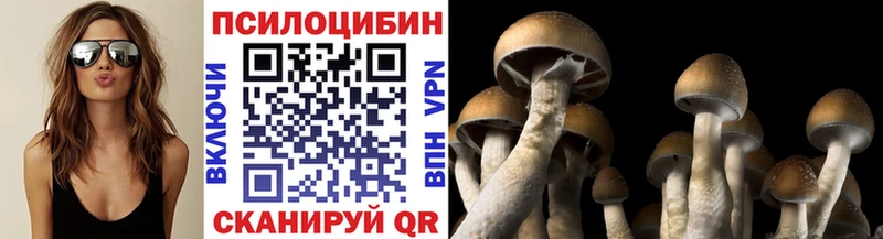 купить наркотик  darknet какой сайт  Псилоцибиновые грибы прущие грибы  Ухта 